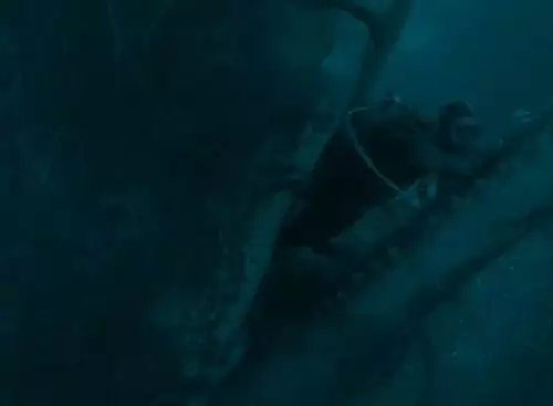 Whalefall_st_6_jpg_sdlow_134360270445427581_big-cine_deskt.webp
