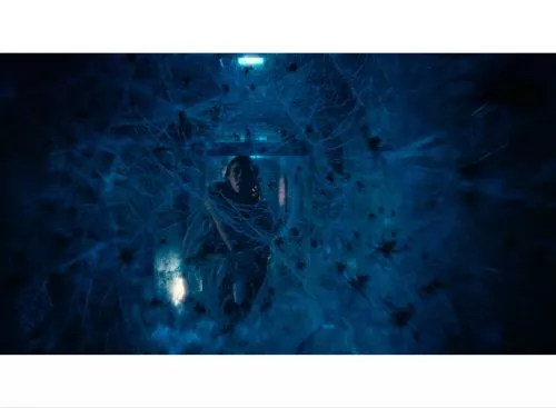 Crawlers_134350544889320017_big-cine_deskt.webp