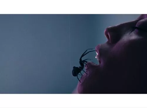 Crawlers_134350544839601192_big-cine_deskt.webp